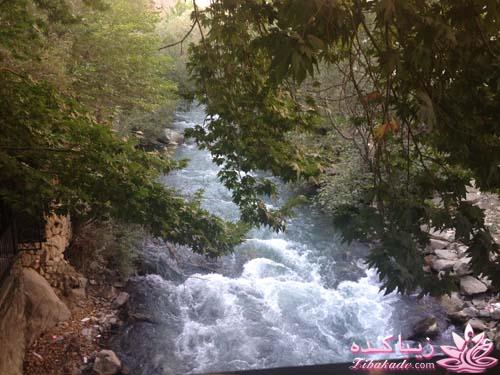 مسابقه عکاسی زیباکده ای مورد حمایت فروشگاه پانوراما**ویژه دریافت عکس**